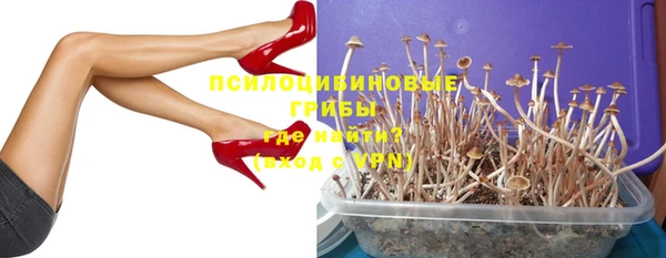 а пвп мука Баксан
