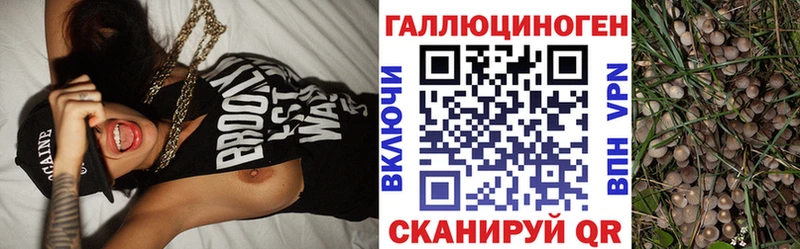 Галлюциногенные грибы Cubensis  купить наркоту  Заозёрск 