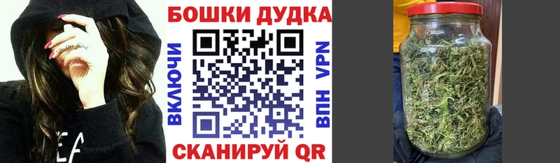 купить наркотики сайты  Заозёрск  Бошки марихуана SATIVA & INDICA 